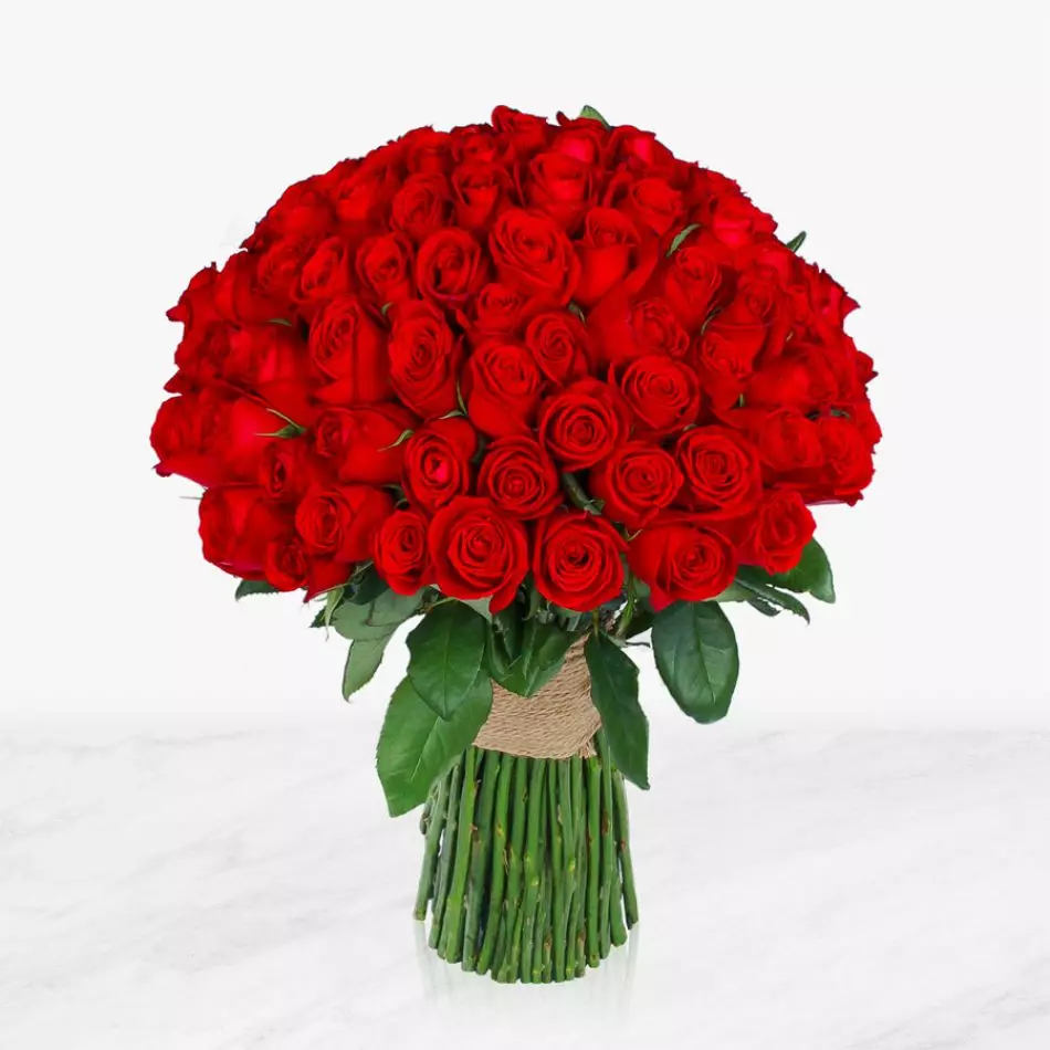 دسته گل رز قرمز ساقه بلند