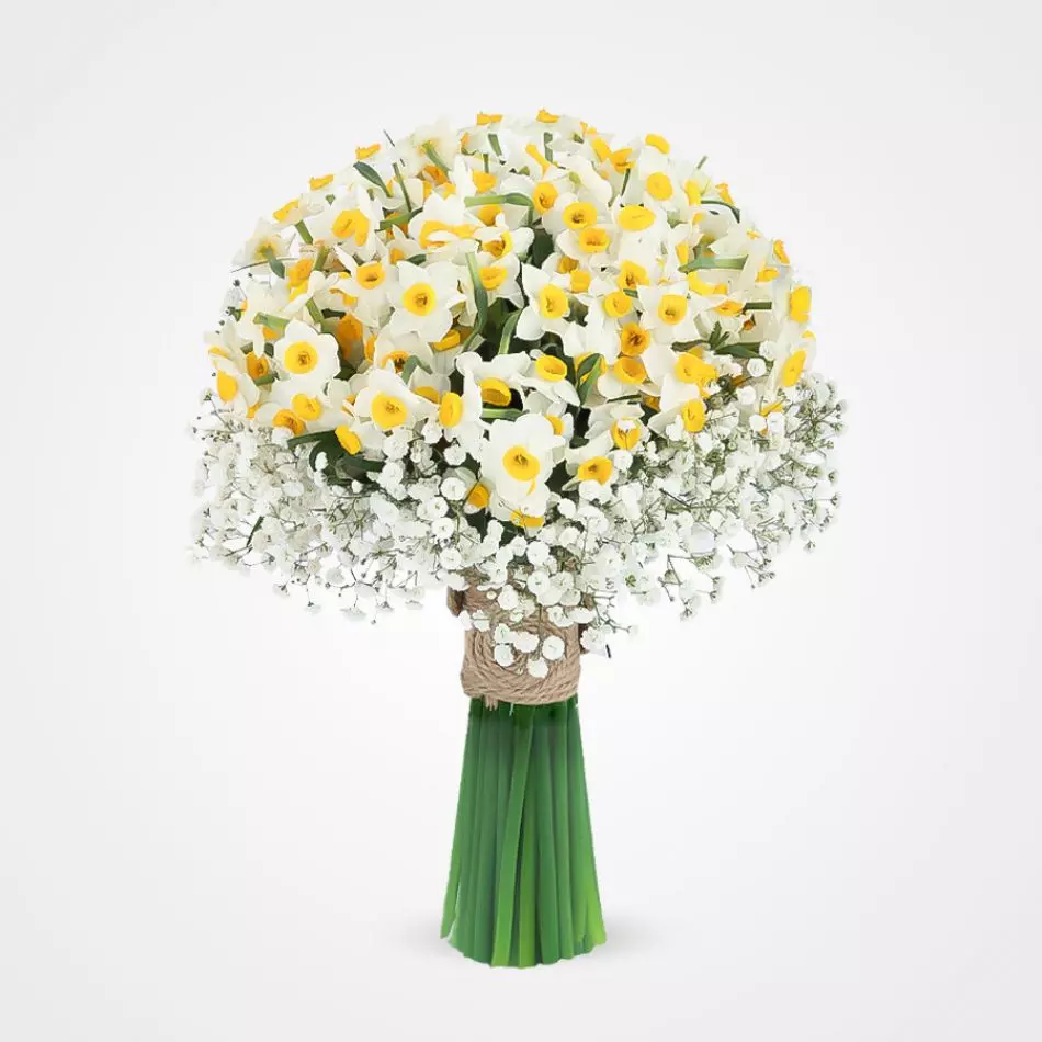 دسته گل نرگس عروس سفید